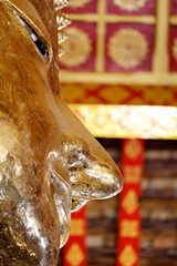 Wat Visounnarath buddhist temple. Buddha Shakyamuni. Giant golden statue.  Luang Prabang. Laos.