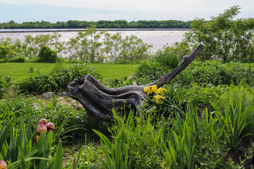 Fototapete bei efototapeten.de bestellen   