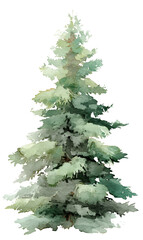 Fototapeta premium Watercolor green Christmas tree clipart, on a white background with margins