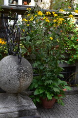 Summer trip to the seaside city of Gdańsk in Poland.