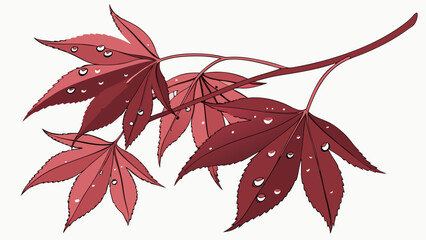 Autumnal Leaf With Water Drops.