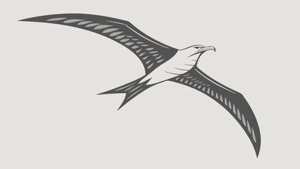 Bird Silhouette in Flight.