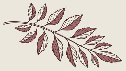 Botanical Illustration of a Leafy Branch Hand Drawn Style.