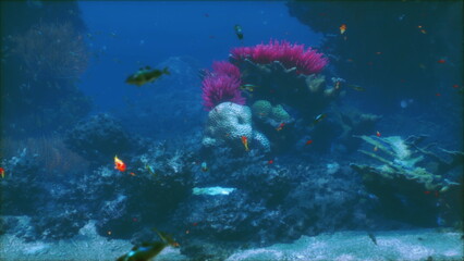 Bright corals and lively fish create a stunning underwater landscape. The serene blue water surrounds diverse marine life, showcasing natures beauty in a calm ocean environment.
