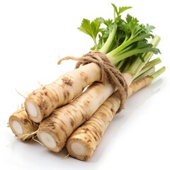 Bunch of Fresh Parsnips Tied with Twine on White root vegetable