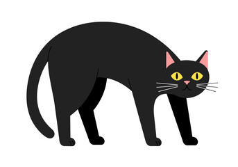 Obraz premium Black cat with yellow eyes walking in a playful pose for Halloween 