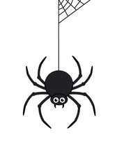 Black spider hanging from web on white background for Halloween  