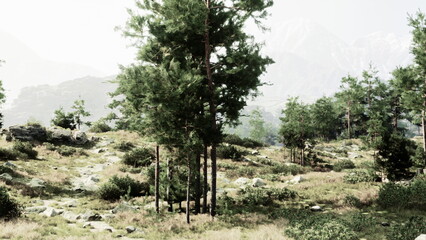 Sunlight filters through tall trees in a vibrant forest. Rolling hills and rocky outcrops add depth to the serene scene, highlighting the beauty of nature and tranquility of the outdoors.