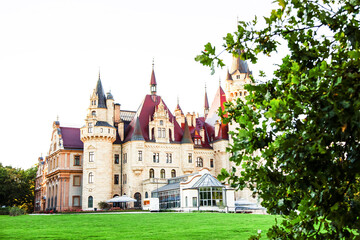Fototapeta premium Old stone fortress surrounded by nature and sunlight, evoking a magical medieval atmosphere.
