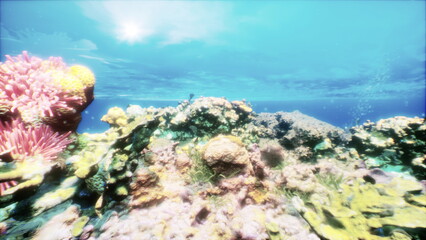 Colorful coral reefs thrive in a tranquil underwater scene. Sunlight filters through the surface, creating a magical atmosphere for diverse sea creatures, inviting exploration and discovery.