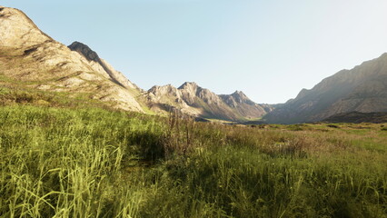 Golden sunlight bathes a serene mountain valley where tall grasses sway gently. Majestic peaks rise in the background, creating a stunning natural view of the great outdoors.