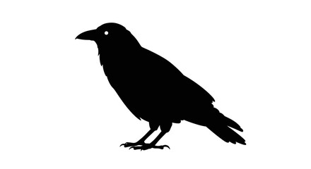 Obraz premium Silhouette of a black crow standing on its feet, facing left.