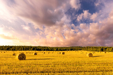 Haystack bale on a golden field landscape at sunset. Rural agricultural scene with bales of hay....