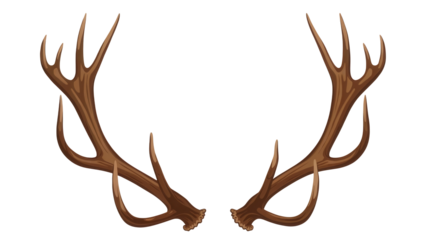A pair of large brown deer antlers with multiple points isolated on transparent background