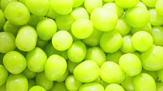 Macro Close-up of Fresh Shine Muscat Green Grapes with Dynamic Lighting and Glossy Texture, High Quality Food Ads
