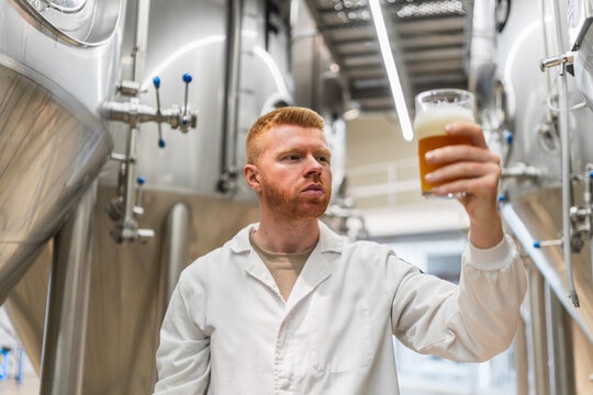 Brewer wearing a lab coat carefully inspecting a glass of beer for quality assurance in a modern microbrewery