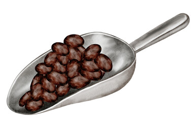 Cocoa beans on a scoop watercolor. Hand-drawn cocoa fruit on a white background. Food clip art. Ideal for packaging chocolate and cocoa powder.