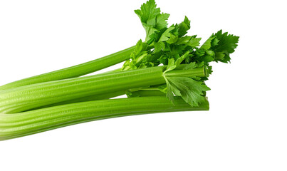Transparent Background, PNG Crisp Fresh Celery Stalk with Leaves, Front View
