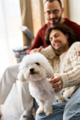Celebrating love and joy at home with a lovely gay couple and their furry friend