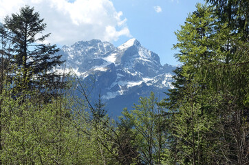 Blick von Hintergraseck auf die Alpspitze
