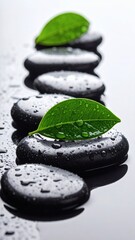 Black spa stones with a vibrant green leaf symbolize a concept of zen balance, harmony, and wellness in nature