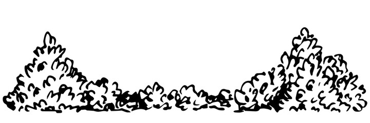 Bushes, forest vegetation, deciduous shrub. Nature and plants. Floral border, fence. Landscape design, gardening. Hand drawn vector drawing with black outline, ink sketch.