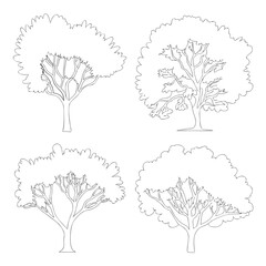A captivating sketch showcases four distinct tree silhouettes, each rendered with delicate lines and intricate details, creating a harmonious blend of nature and artistic expression isolated on white 
