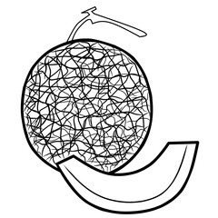 illustration of melon fruit. coloring book for kids