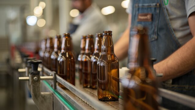 Beer bottles on a conveyor line in a brewery setting