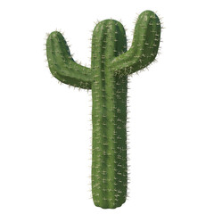 Cactus sun light isolated transparent background 3d rendering
