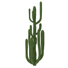 Cactus isolated transparent background 3d rendering
