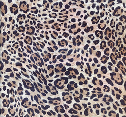 Luxury leopard background. Wild tiger pattern. Pantera animal print. Cheetah print. Snow leopard fur.