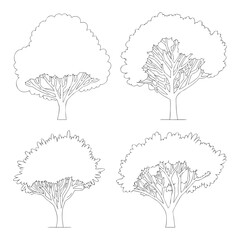 A captivating sketch presents four distinct tree silhouettes, each rendered with delicate lines and intricate details, creating a harmonious blend of nature and artistic expression isolated on white b