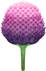 Watercolor Globe Amaranth Flower