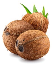 Three coconuts with leaves