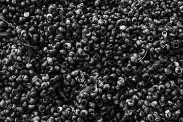 Striking monochrome background of countless tiny snail shells. The high-contrast black and white...