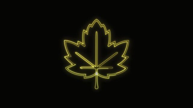  Maple Leaf Icon Neon Seamless Loop 4K with Black Background Animated Promotional Typography for Video Editing