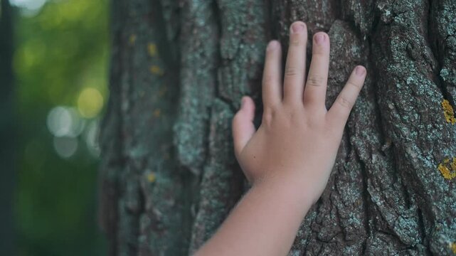 Tree bark under child hand. Texture rough and natural. Skin touching wood surface. Forest light soft around. Child hand rests calmly. Bark shows details. Tree in nature. Hand connects with texture.