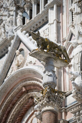 Obraz premium Sculpture of symbol of Siena - capitoline wolf breastfeeding Romulus and Remus on the column in front of the gothic Duomo di Siena cathedral, Tuscany, Italy