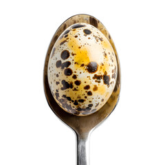 Quail egg on spoon, white isolated background