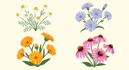 Obraz premium A collection of four different types of wild flowers.