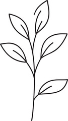 Delicate Plant with Leaves Silhouette Black Vector Illustration