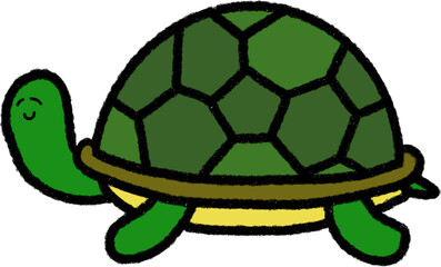 turtle