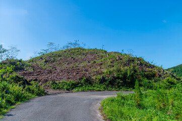 伐採されたはげ山
