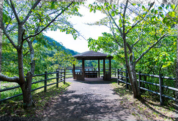 新緑に包まれる東屋
