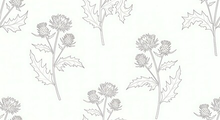 Botanical line art illustration of milk thistle repeated pattern design