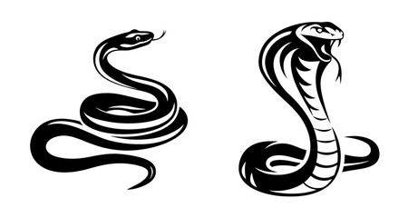 Obraz premium Dynamic duo of serpents two distinct snake silhouettes ready to strike and charm
