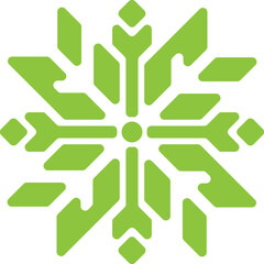 snowflake vector or illustration design