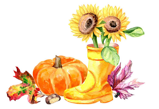 watercolor autumn arrangement: sunflowers, pumpkin, boot clip art preview