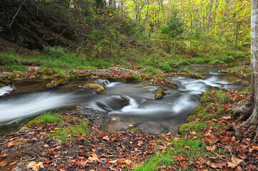 Autumn stream in Virginia